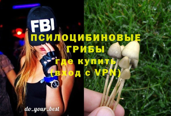 мдма Няндома