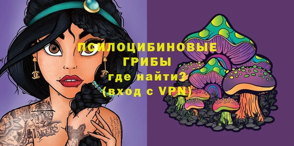 ешки Нягань