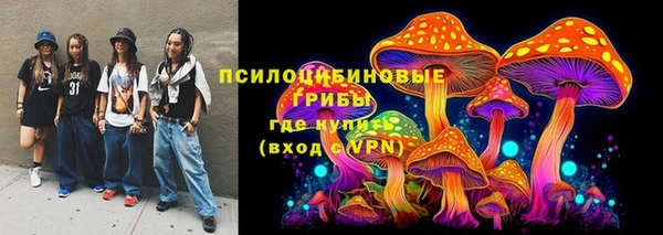 ешки Нягань