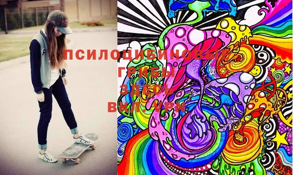 мдма Няндома