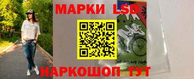 индика Гусев