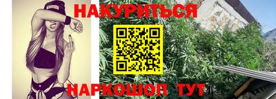 индика Гусев