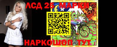 индика Гусев