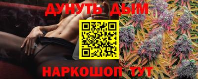 индика Гусев