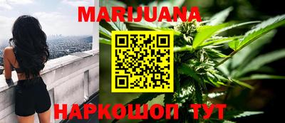 индика Гусев