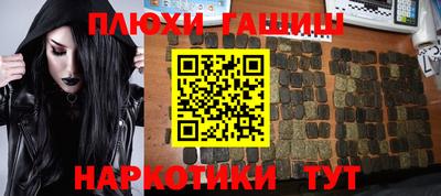 индика Гусев