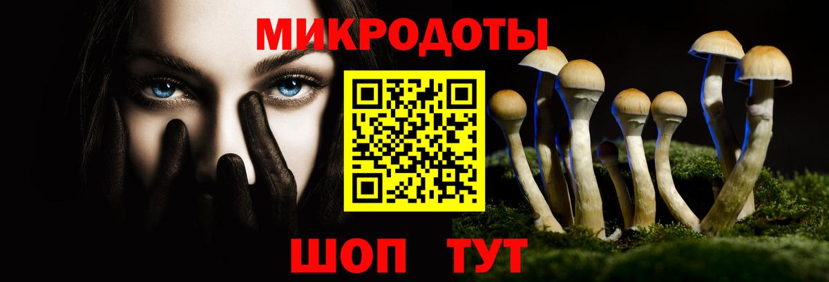 Галлюциногенные грибы прущие грибы Сафоново
